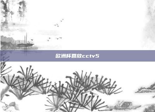 欧洲杯回放cctv5