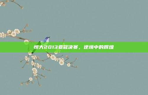 恒大2013亚冠决赛,逆境中的辉煌