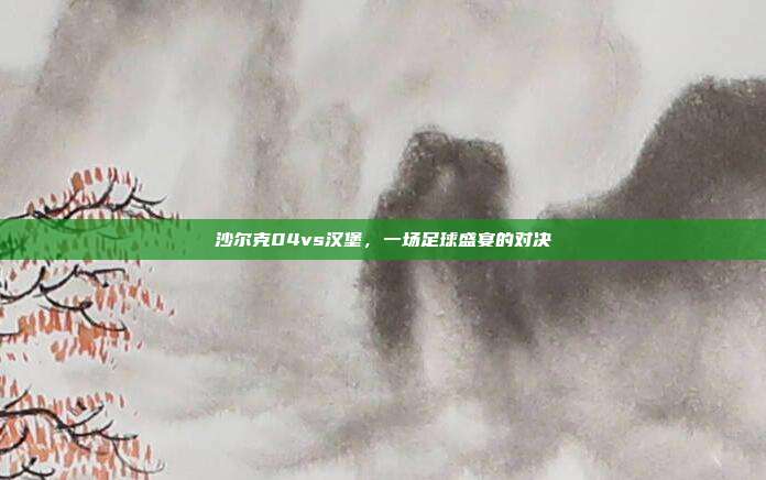 沙尔克04vs汉堡，一场足球盛宴的对决