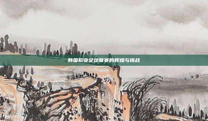 韩国职业足球联赛的辉煌与挑战
