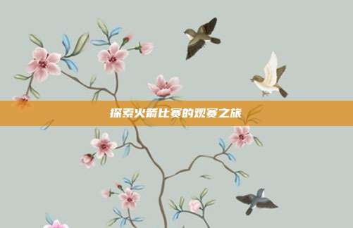 探索火箭比赛的观赛之旅