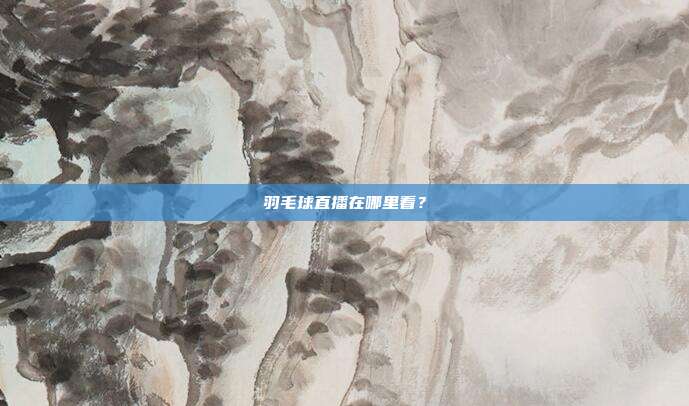 羽毛球直播在哪里看？