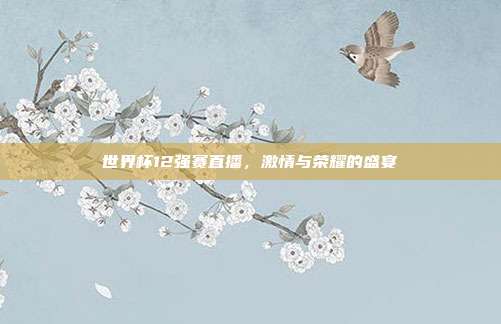 世界杯12强赛直播，激情与荣耀的盛宴