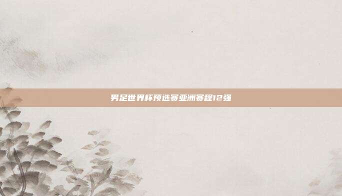 男足世界杯预选赛亚洲赛程12强