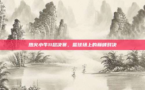 热火小牛11总决赛,篮球场上的巅峰对决