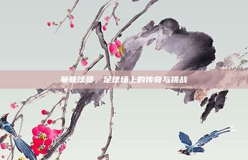 曼联球员,足球场上的传奇与挑战