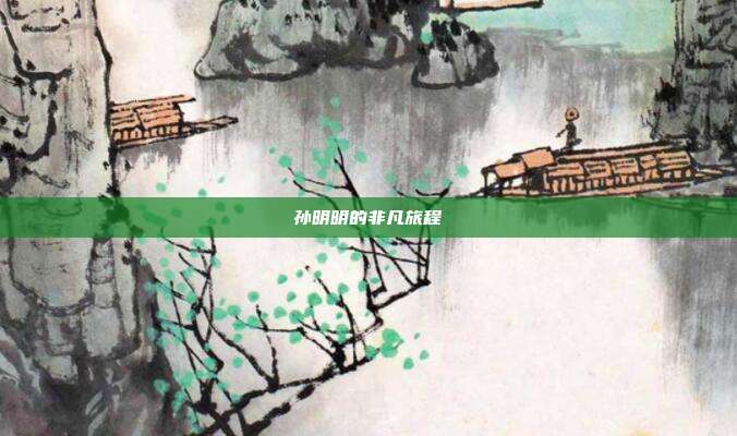 孙明明的非凡旅程
