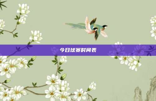 今日球赛时间表