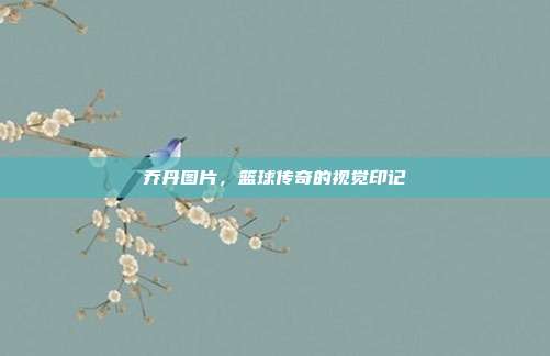 乔丹图片，篮球传奇的视觉印记