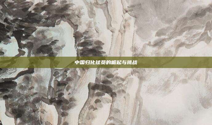 中国归化球员的崛起与挑战