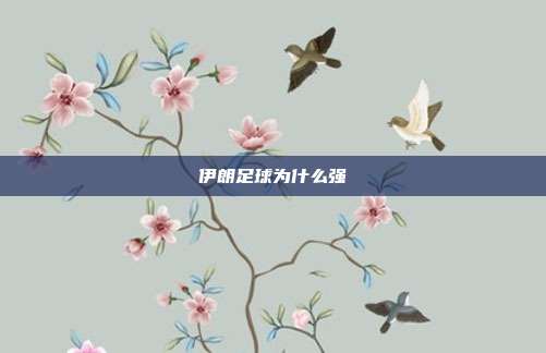 伊朗足球为什么强