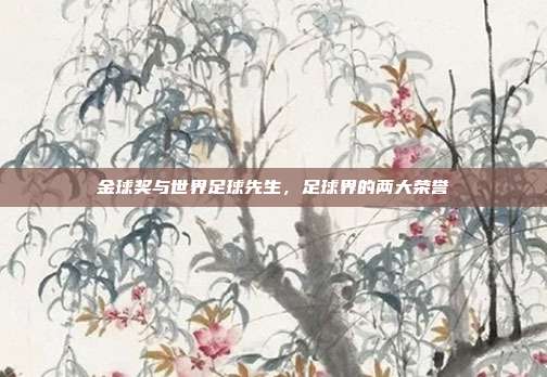 金球奖与世界足球先生，足球界的两大荣誉
