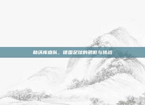 勒沃库森队，德国足球的骄傲与挑战