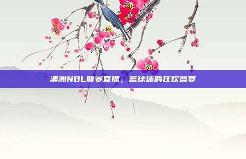澳洲NBL联赛直播，篮球迷的狂欢盛宴