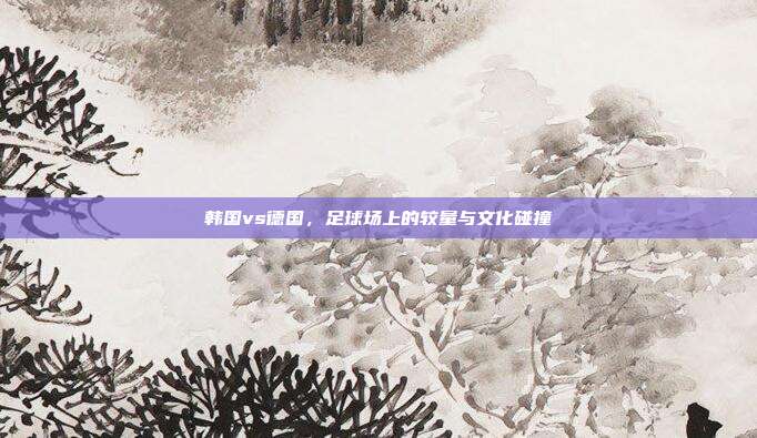 韩国vs德国,足球场上的较量与文化碰撞