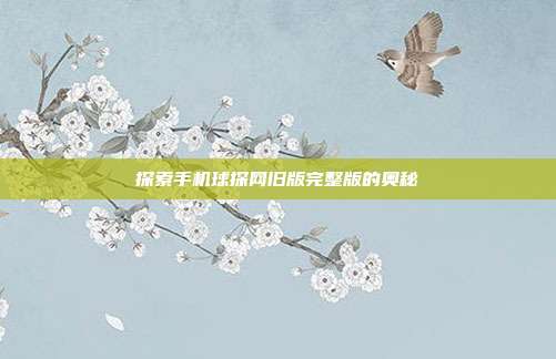 探索手机球探网旧版完整版的奥秘