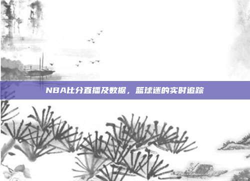NBA比分直播及数据,篮球迷的实时追踪