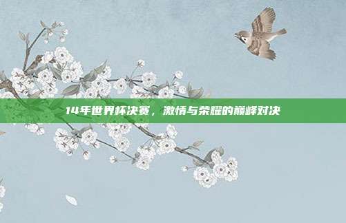 14年世界杯决赛,激情与荣耀的巅峰对决