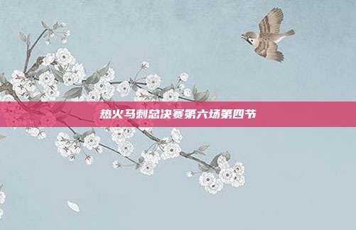 热火马刺总决赛第六场第四节