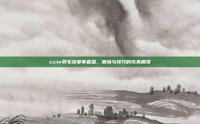 cctv羽毛球赛事直播，激情与技巧的完美展现