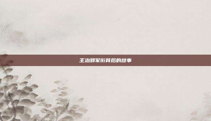王治郅军衔背后的故事