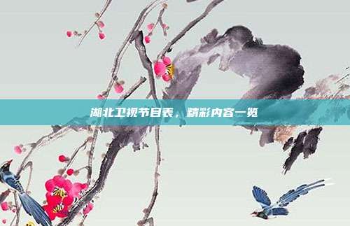 湖北卫视节目表,精彩内容一览