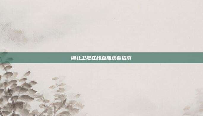 湖北卫视在线直播观看指南