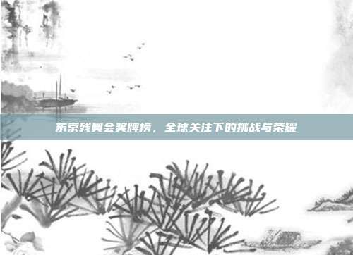 东京残奥会奖牌榜,全球关注下的挑战与荣耀