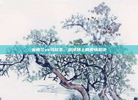 英格兰vs乌拉圭，足球场上的激情对决