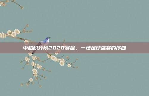 中超积分榜2020赛程,一场足球盛宴的序曲