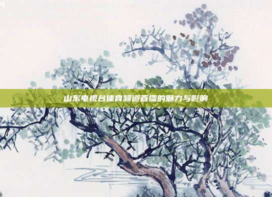 山东电视台体育频道直播的魅力与影响