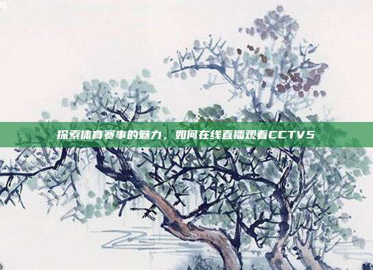 探索体育赛事的魅力,如何在线直播观看CCTV5