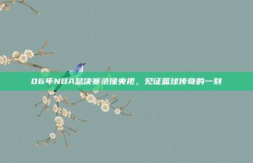 06年NBA总决赛录像央视，见证篮球传奇的一刻
