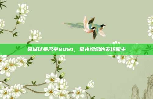 曼城球员名单2021，星光熠熠的英超霸主