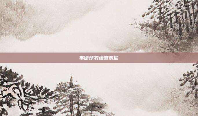 韦德球衣给安东尼