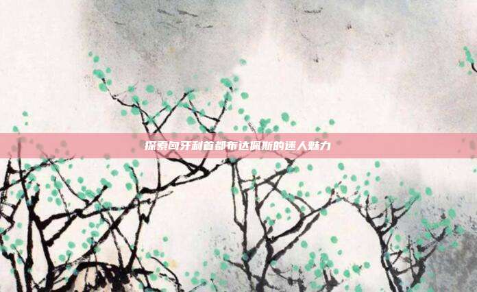 探索匈牙利首都布达佩斯的迷人魅力