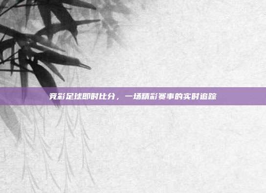 竞彩足球即时比分,一场精彩赛事的实时追踪