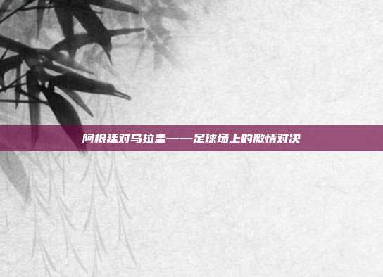 阿根廷对乌拉圭——足球场上的激情对决