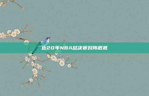 近20年NBA总决赛对阵概览