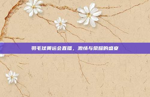 羽毛球奥运会直播,激情与荣耀的盛宴