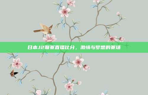 日本J2联赛直播比分,激情与梦想的赛场