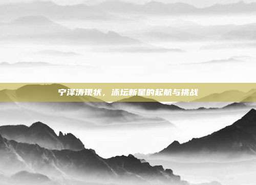 宁泽涛现状,泳坛新星的起航与挑战