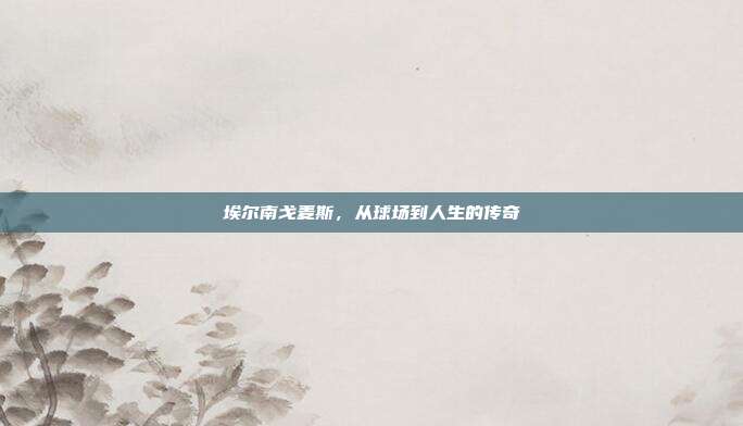 埃尔南戈麦斯,从球场到人生的传奇