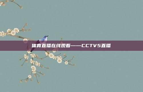 体育直播在线观看——CCTV5直播