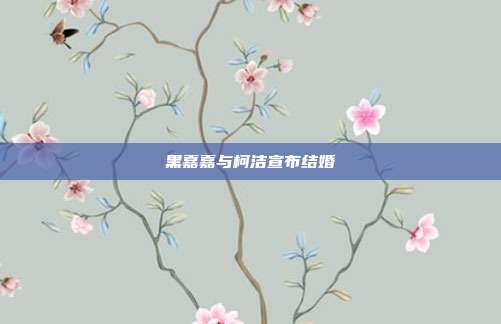 黑嘉嘉与柯洁宣布结婚