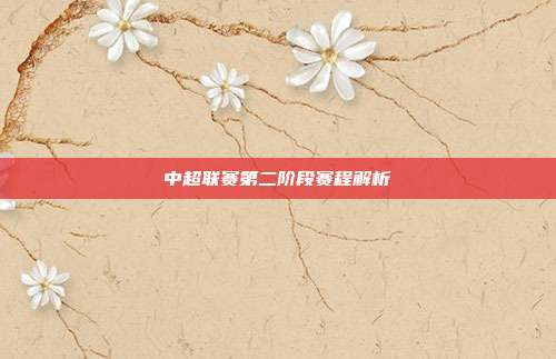 中超联赛第二阶段赛程解析