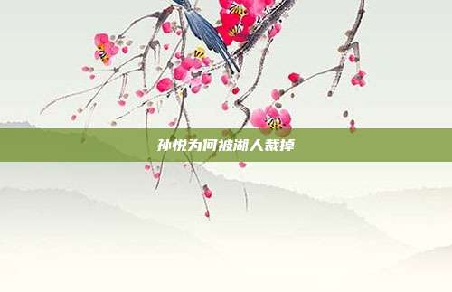 孙悦为何被湖人裁掉