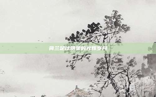 荷兰足球明星的光辉岁月