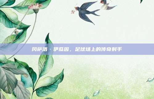 冈萨洛·伊瓜因,足球场上的传奇射手