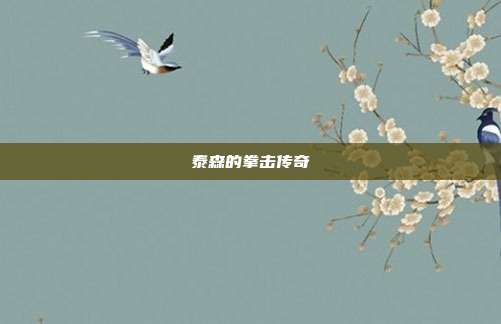 泰森的拳击传奇